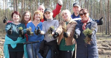 Зямлі нізка пакланюся: будзе лес у Беларусі! Зямлі нізка пакланюся: будзе лес у Беларусі!