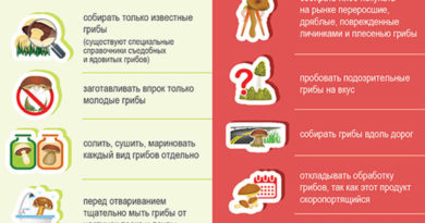Инфографика: Профилактика отравлений грибами Инфографика: Профилактика отравлений грибами
