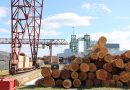 Заветные кубометры успеха: мозырской деревообработке нужны инициатива и крепкая команда Заветные кубометры успеха: мозырской деревообработке нужны инициатива и крепкая команда