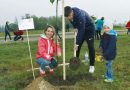 Зеленей, Мозырь! Семейную аллею деревьев пополнили 150 молодых кленов Зеленей, Мозырь! Семейную аллею деревьев пополнили 150 молодых кленов