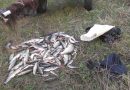 Нарушителей с крупным уловом задержали в пойме р. Припять Нарушителей с крупным уловом задержали в пойме р. Припять