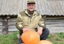 Исповедь диабетика со стажем: о великолепном перекусе и альтернативе лекарствам Исповедь диабетика со стажем: о великолепном перекусе и альтернативе лекарствам