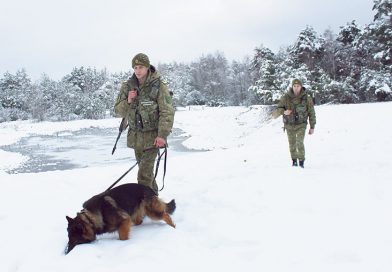 На дальнем рубеже. Чем наполнены будни пограничников и как новобранцы проходят адаптацию в репортаже с заставы «Дзержинск» На дальнем рубеже. Чем наполнены будни пограничников и как новобранцы проходят адаптацию в репортаже с заставы «Дзержинск»