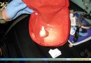 Кинологи Гомельской таможни нашли наркотики у водителей-международников Кинологи Гомельской таможни нашли наркотики у водителей-международников