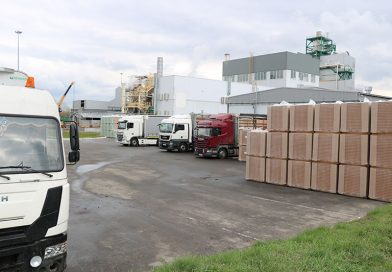 Мозырский ДОК увеличил экспорт изоляционных плит из древесного волокна Мозырский ДОК увеличил экспорт изоляционных плит из древесного волокна