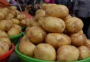 Картошка – подорожала, огурцы – подешевели: что было с ценами в марте Картошка – подорожала, огурцы – подешевели: что было с ценами в марте
