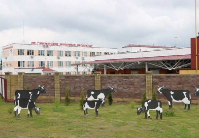 «Мозырские молочные продукты» − лауреат республиканского конкурса потребительских предпочтений «Продукт года-2020» «Мозырские молочные продукты» − лауреат республиканского конкурса потребительских предпочтений «Продукт года-2020»