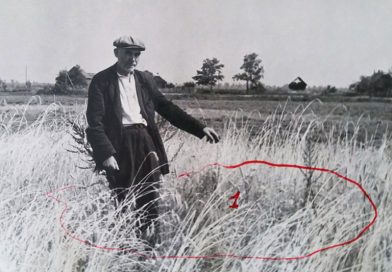 Палачи и жертвы. 10 октября 1965 года «Гомельская праўда» в рубрике «Из зала суда» поместила публикацию «Народ не даруе» Палачи и жертвы. 10 октября 1965 года «Гомельская праўда» в рубрике «Из зала суда» поместила публикацию «Народ не даруе»