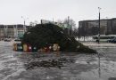 В Гомельской области подсчитывают сумму ущерба в результате сильного ветра В Гомельской области подсчитывают сумму ущерба в результате сильного ветра