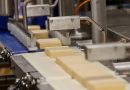 В Китае оценили белорусские сыры, масло и мороженое. Поставки этих продуктов уверенно нарастают В Китае оценили белорусские сыры, масло и мороженое. Поставки этих продуктов уверенно нарастают