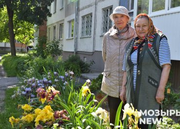 Чтобы было краше вокруг. Нашли в Мозыре дворы образцового порядка