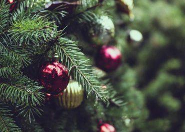 Прогноз погоды в Мозыре на 31 декабря от филиала «Гомельоблгидромет»